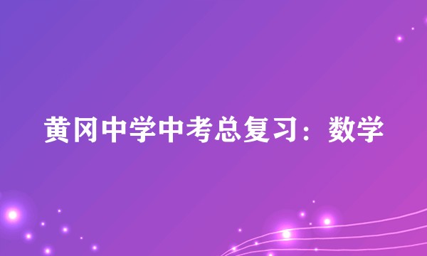 黄冈中学中考总复习：数学