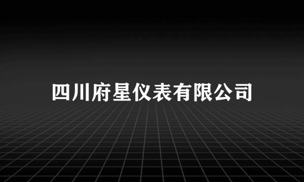 四川府星仪表有限公司
