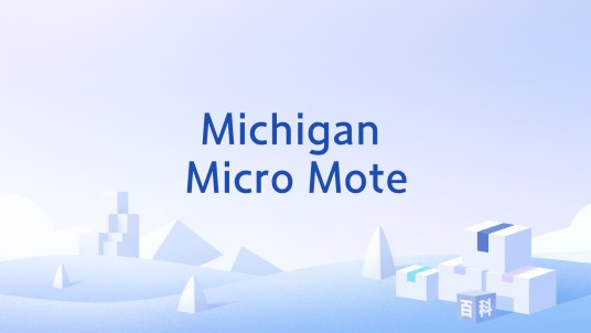 Michigan Micro Mote