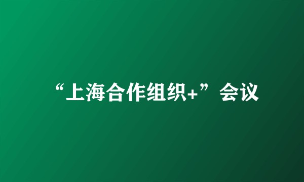 “上海合作组织+”会议
