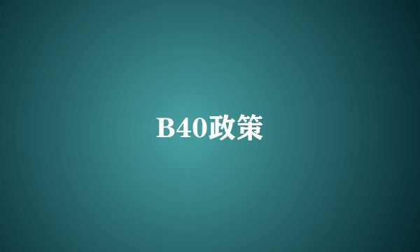 B40政策