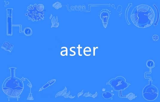 aster（英语单词）