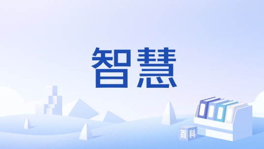 智慧（2015年江苏卷高考作文题）