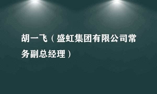 胡一飞（盛虹集团有限公司常务副总经理）