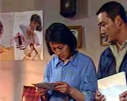 半路夫妻（1994年张舒云樊志起主演的电视剧）