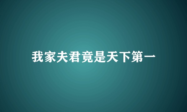我家夫君竟是天下第一