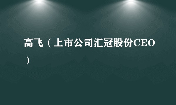 高飞（上市公司汇冠股份CEO）