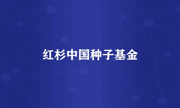 红杉中国种子基金