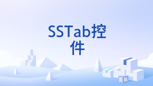 SSTab控件