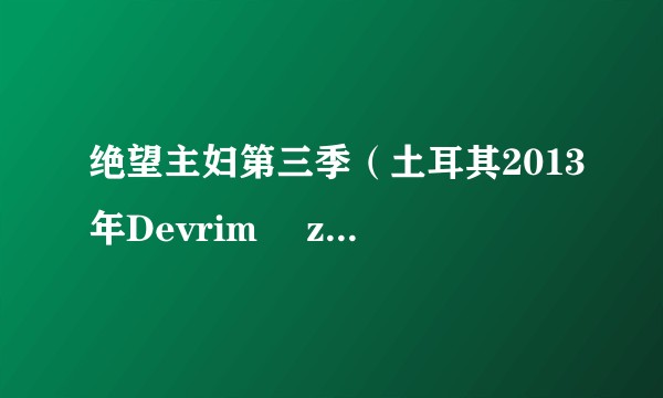绝望主妇第三季（土耳其2013年Devrim Özder Akin等人主演的剧集）