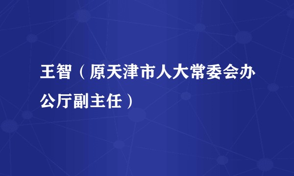 王智（原天津市人大常委会办公厅副主任）