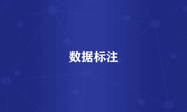 数据标注