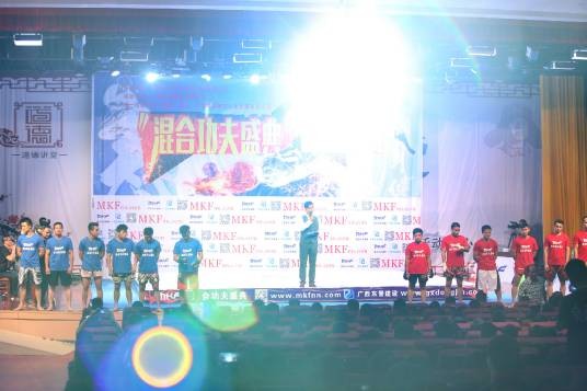 混合功夫盛典
