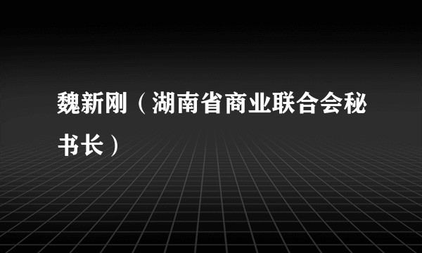 魏新刚（湖南省商业联合会秘书长）