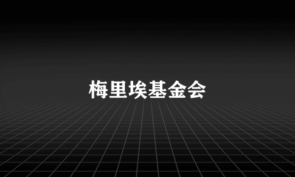 梅里埃基金会
