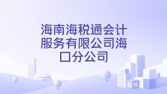 海南海税通会计服务有限公司海口分公司
