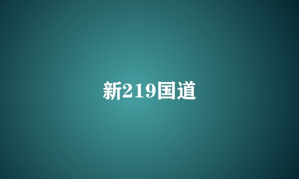 新219国道