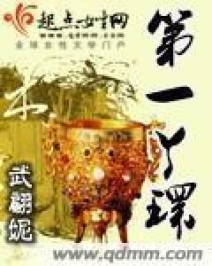 第一丫环(武翩妮所著小说)