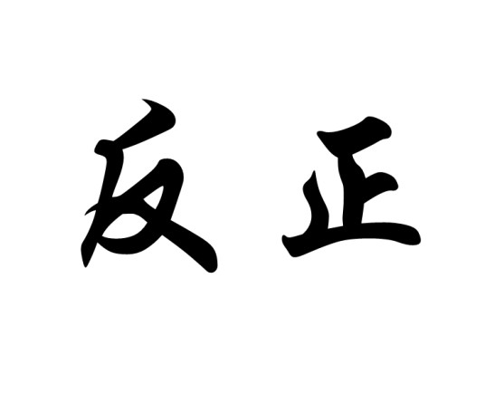 反正(汉语词语)