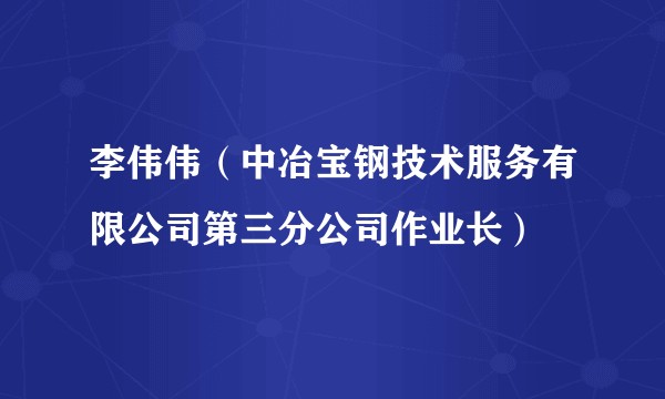 李伟伟(中冶宝钢技术服务有限公司第三分公司作业长)