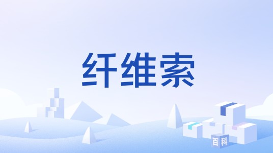 纤维索