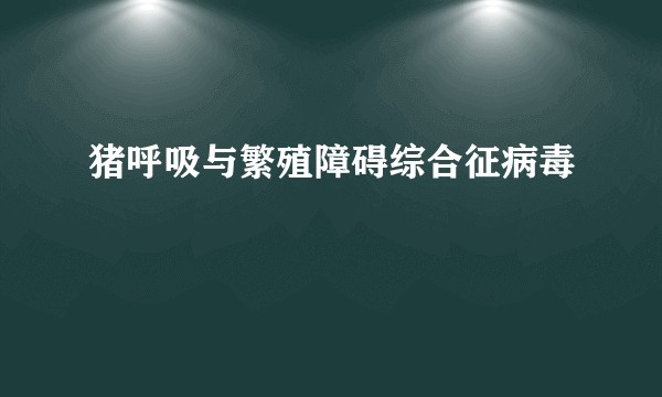 猪呼吸与繁殖障碍综合征病毒