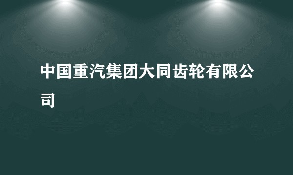中国重汽集团大同齿轮有限公司