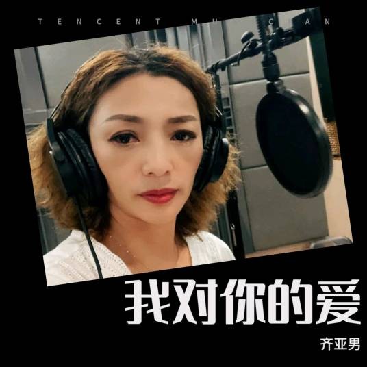 我对你的爱（齐亚男演唱的歌曲）