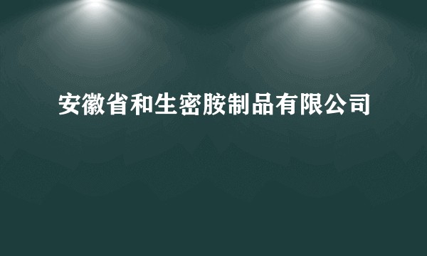 安徽省和生密胺制品有限公司
