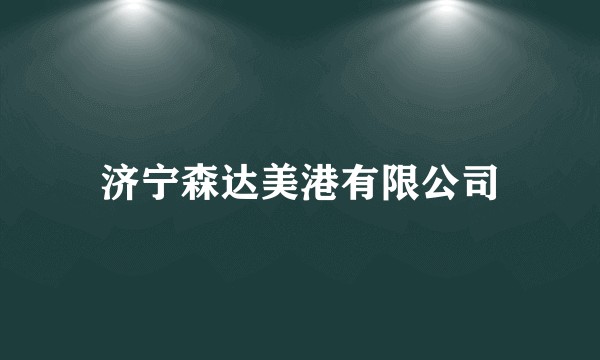 济宁森达美港有限公司