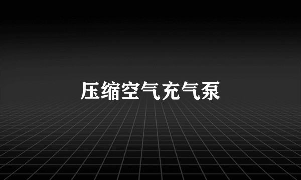 压缩空气充气泵