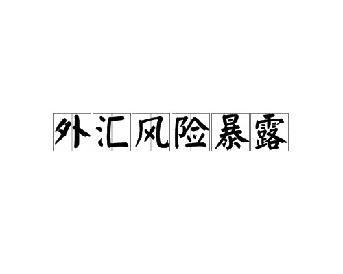 外汇风险暴露