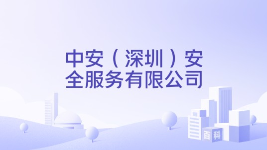 中安（深圳）安全服务有限公司