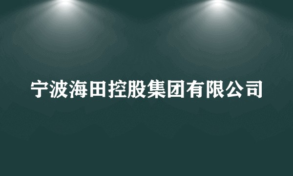 宁波海田控股集团有限公司
