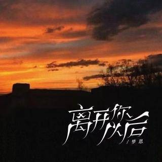 离开你以后（梦恩演唱的歌曲）