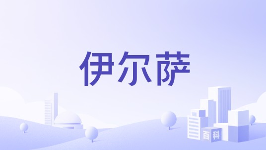 伊尔萨