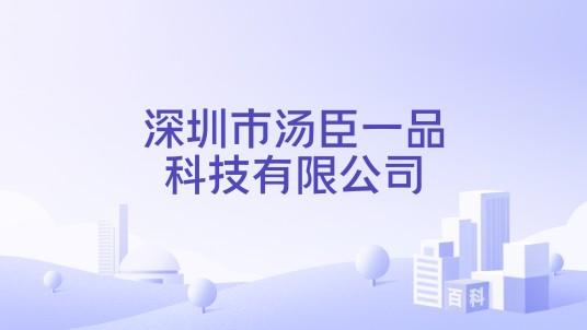 深圳市汤臣一品科技有限公司