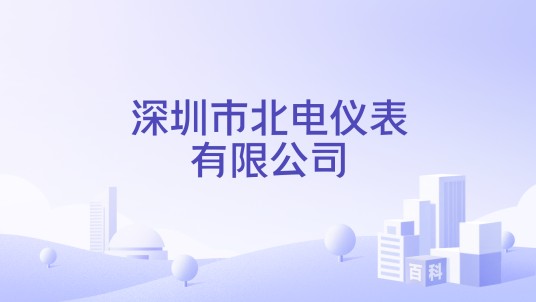 深圳市北电仪表有限公司