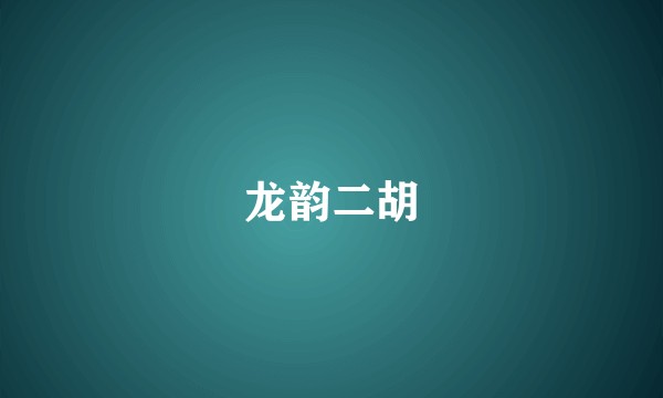 龙韵二胡