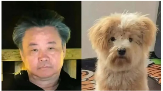 潦草小狗