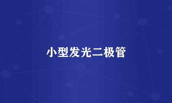 小型发光二极管
