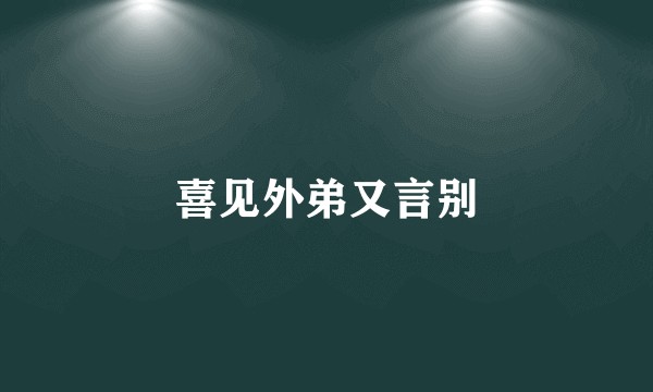 喜见外弟又言别