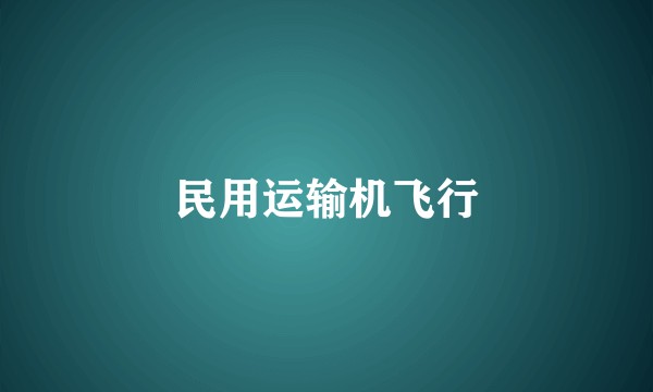 民用运输机飞行