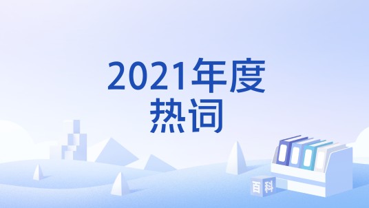 2021年度热词
