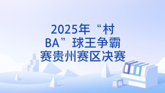 2025年“村BA”球王争霸赛贵州赛区决赛