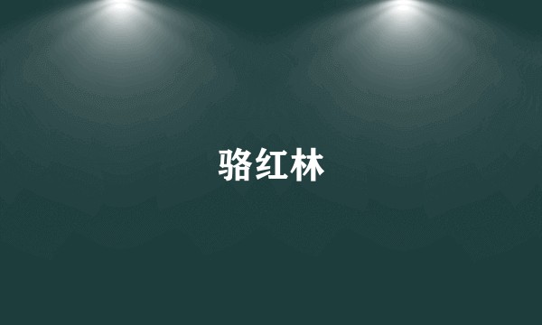 骆红林