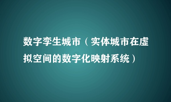 数字孪生城市（实体城市在虚拟空间的数字化映射系统）