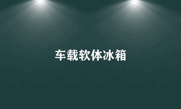 车载软体冰箱