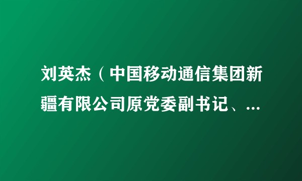 刘英杰（中国移动通信集团新疆有限公司原党委副书记、董事、副总经理）