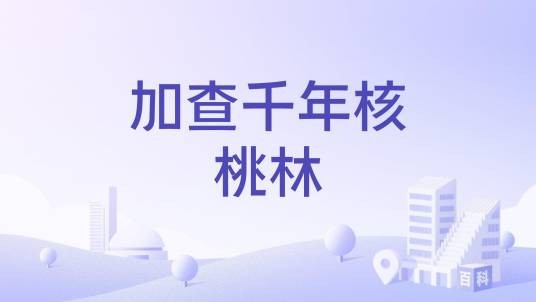加查千年核桃林